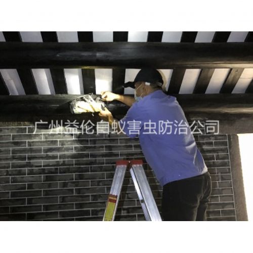 广州祠堂杀灭白蚁工程
